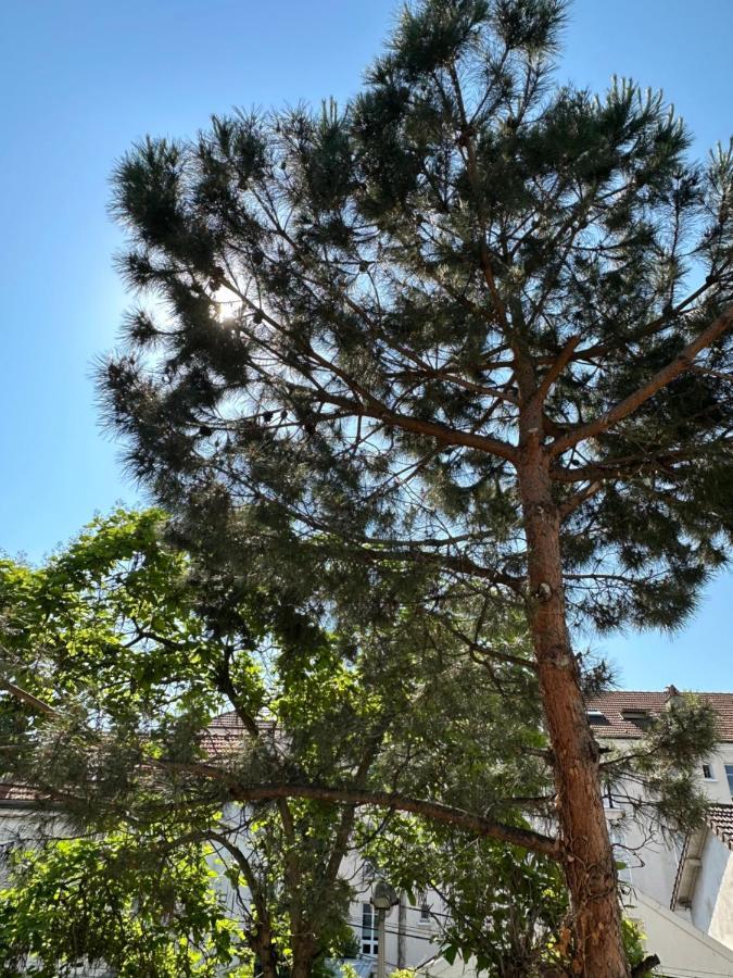 Apartment Green&purple 24-24 Access Bois-Colombes